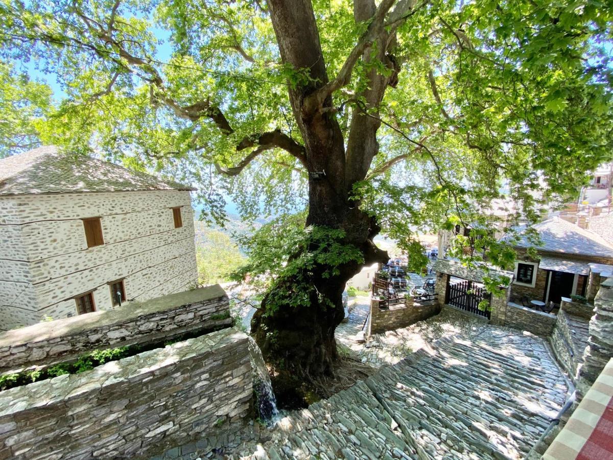 Archontika Karamarlis Makrinítsa Exterior foto